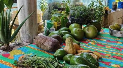 Expoferia en Bolívar dinamiza soberanía alimentaria y financiera de la zona