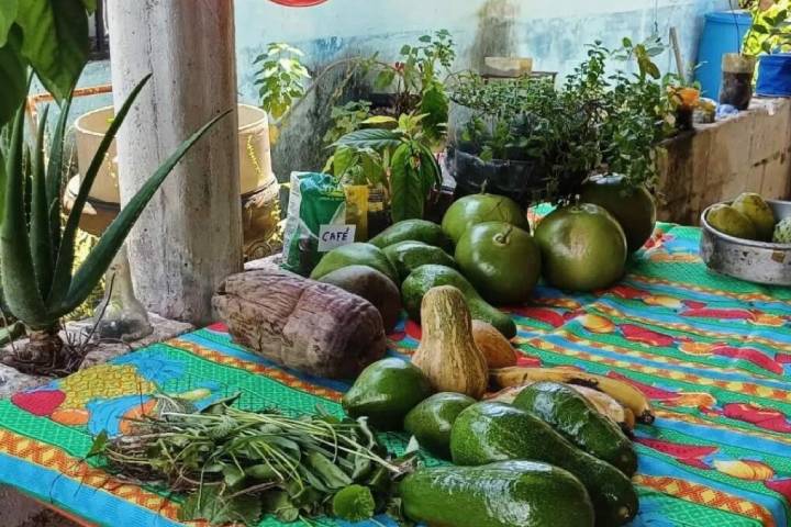 Expoferia en Bolívar dinamiza soberanía alimentaria y financiera de la zona