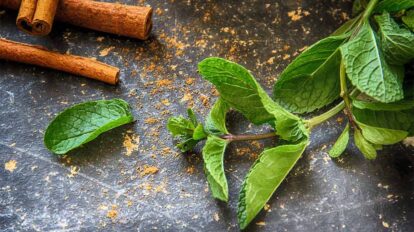El té de menta y canela alivia la inflamación estomacal y mejora los problemas digestivos