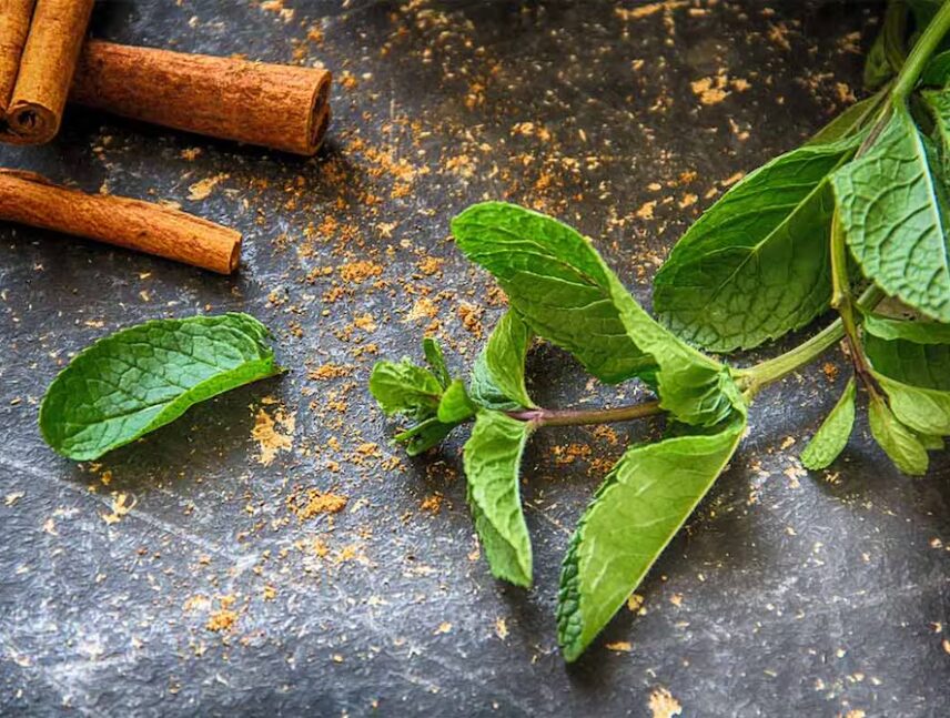El té de menta y canela alivia la inflamación estomacal y mejora los problemas digestivos