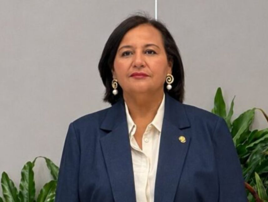 Dinorah Figuera dijo que designarán el nuevo TSJ en noviembre y el CNE en diciembre