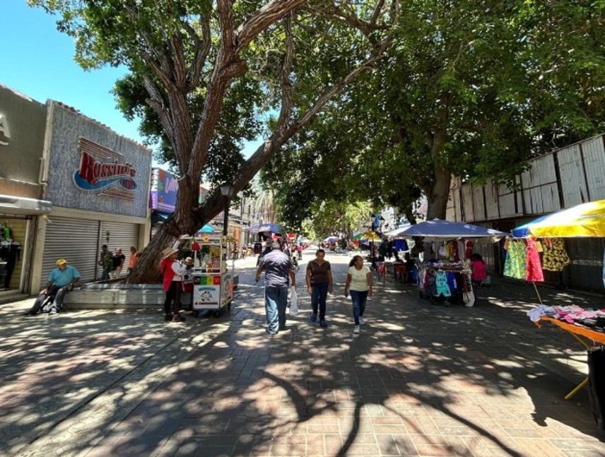 Porlamar alcanzó el 50% de la reactivación comercial