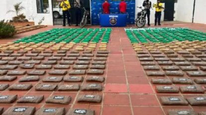 Incautan 300 kilogramos de marihuana en Falcón