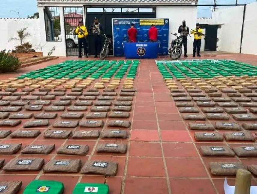 Incautan 300 kilogramos de marihuana en Falcón
