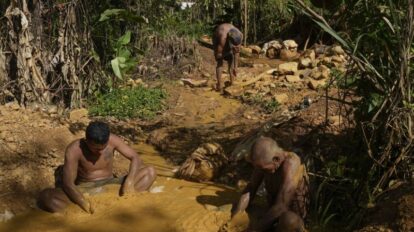 Provea alerta sobre desprotección de pueblos indígenas