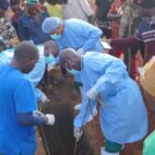 Epidemia de ébola en RD Congo "avanza de forma exponencial"