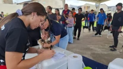 Más de 120 mascotas fueron esterilizadas en Chirica