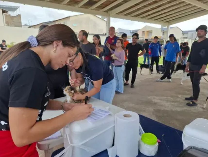 Más de 120 mascotas fueron esterilizadas en Chirica