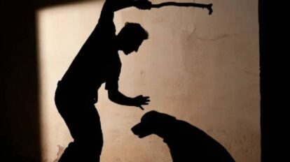 Ordenan revisar leyes contra el maltrato animal en Lara