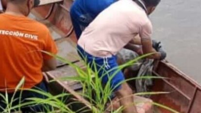 Hallaron restos humanos sumergidos en el río Guanare