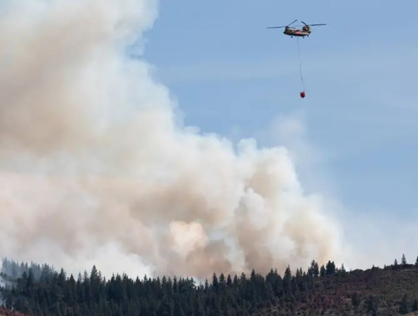 Más de 40.000 evacuados por incendio forestal en EE.UU.