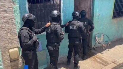 Abaten a “El Cochinito” en Nueva Esparta