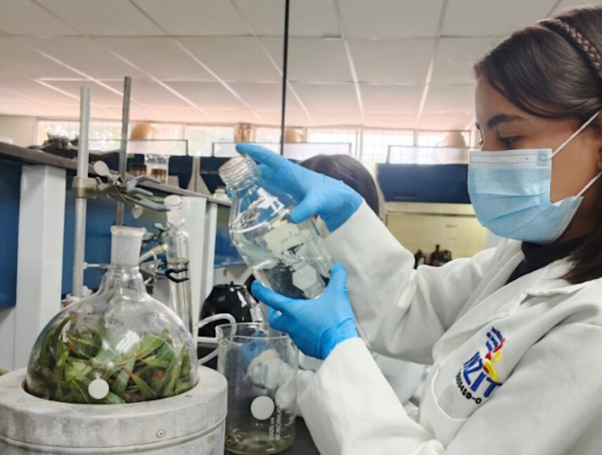 Científicos venezolanos crean recubrimiento biodegradable que alarga vida de frutas