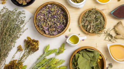 Plantas medicinales y hierbas para limpiar y cuidar los riñones