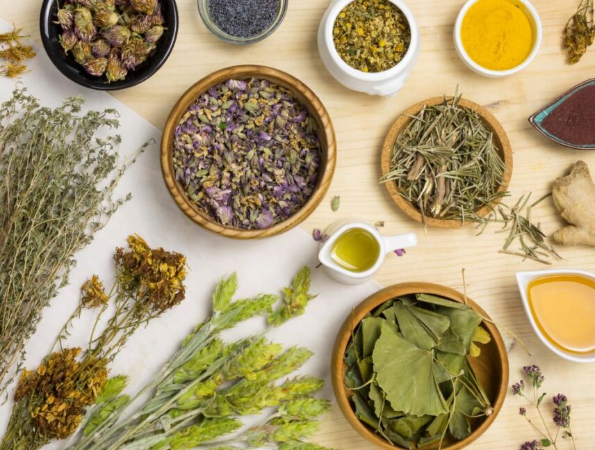 Plantas medicinales y hierbas para limpiar y cuidar los riñones