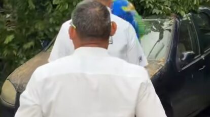 Árbol cae sobre vehículo en calle La Paz de Puerto Ordaz tras fuertes vientos