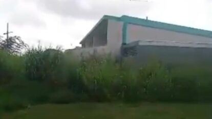 Esperan desmalezamiento de la EBN José Ángel Ruiz ante inicio de clases