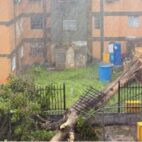 Tormenta con vientos huracanados causa severos destrozos en Barquisimeto