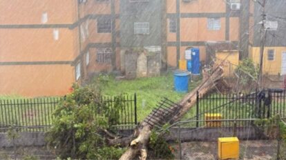 Tormenta con vientos huracanados causa severos destrozos en Barquisimeto