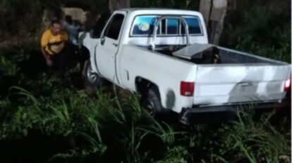 camioneta Chevrolet C10 chocó contra un árbol