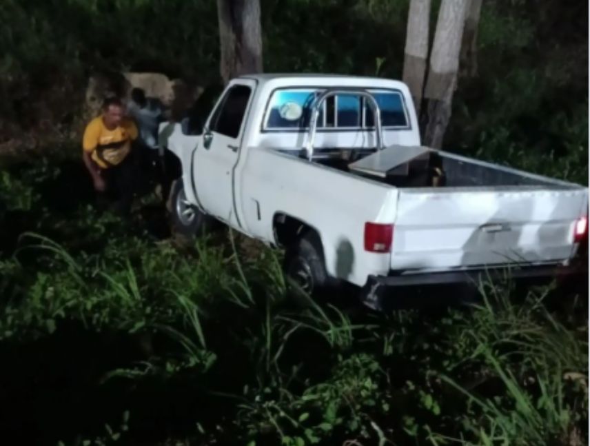 camioneta Chevrolet C10 chocó contra un árbol