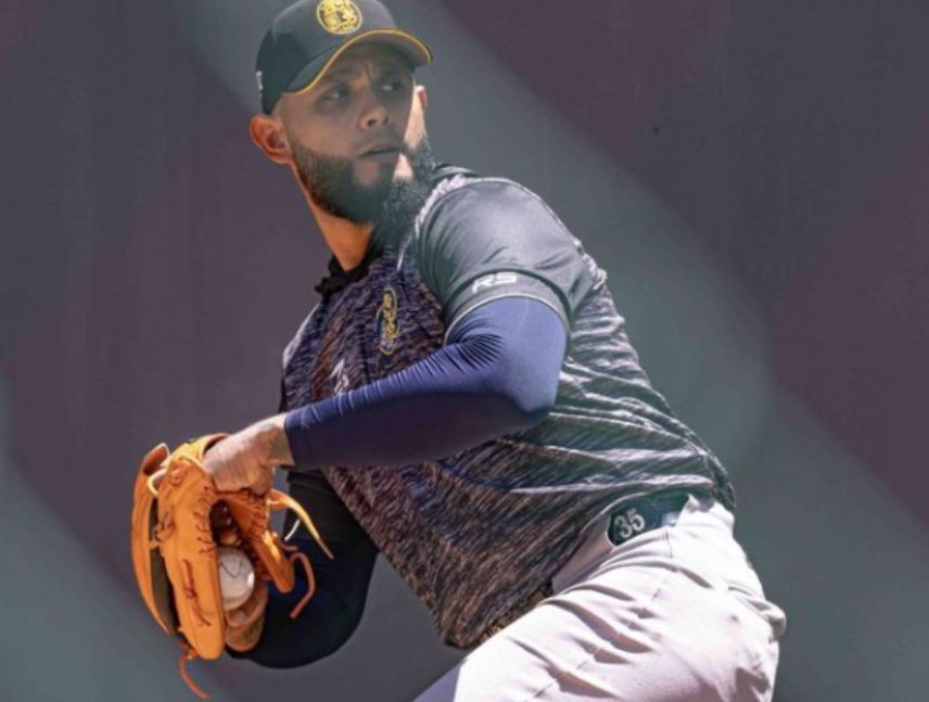 Leones del Caracas pretemporada 2026-2027