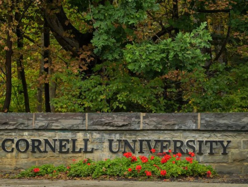 investigación por agresión sexual en Cornell