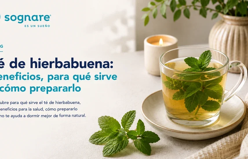 Té de hierbabuena para dormir