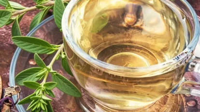 Té de orégano para desinflamar el vientre y mejorar la digestión