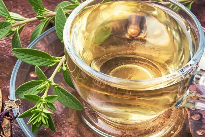 Té de orégano para desinflamar el vientre y mejorar la digestión