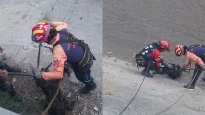 Rescatan a un perrito que cayó al río Guaire
