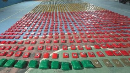 Incautan más de 800 kilos de marihuana en Nueva Esparta