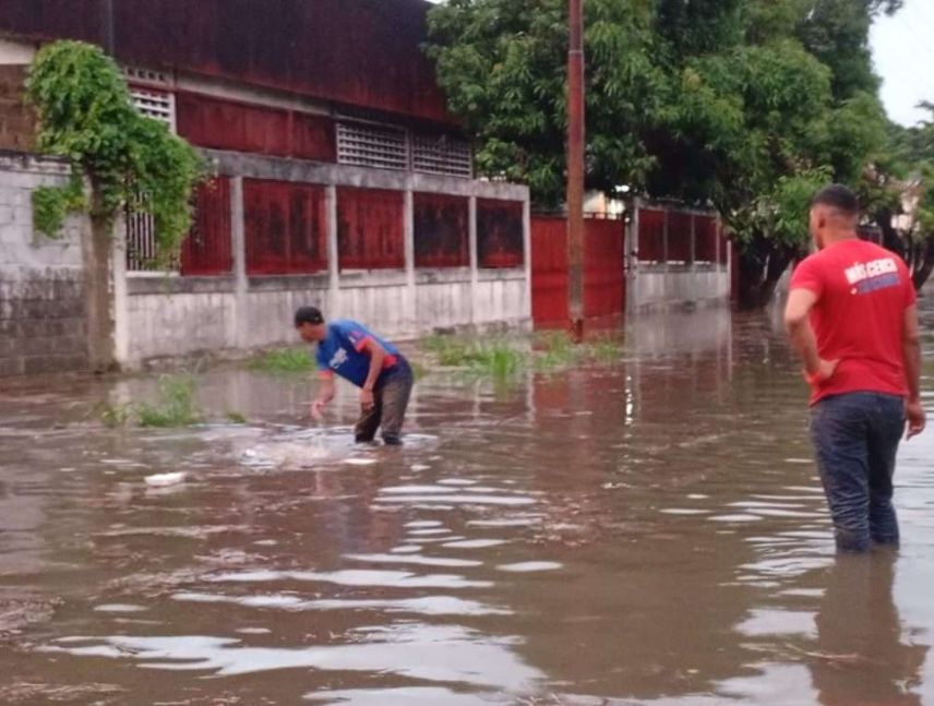 Río Rangel se desborda y afecta a más de 20 viviendas en Ocumare