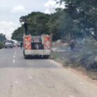 Bomberos sofocan incendio de vegetación en la Troncal 10