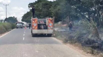 Bomberos sofocan incendio de vegetación en la Troncal 10