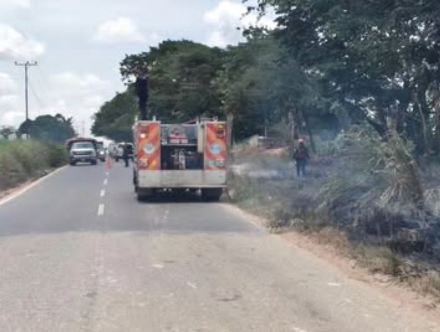 Bomberos sofocan incendio de vegetación en la Troncal 10