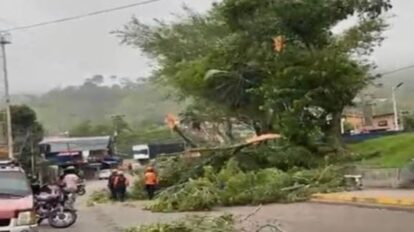 Vientos huracanados causan destrozos en Táchira