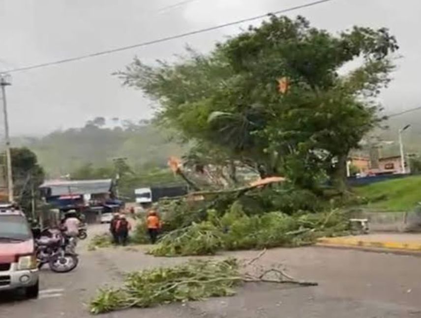 Vientos huracanados causan destrozos en Táchira