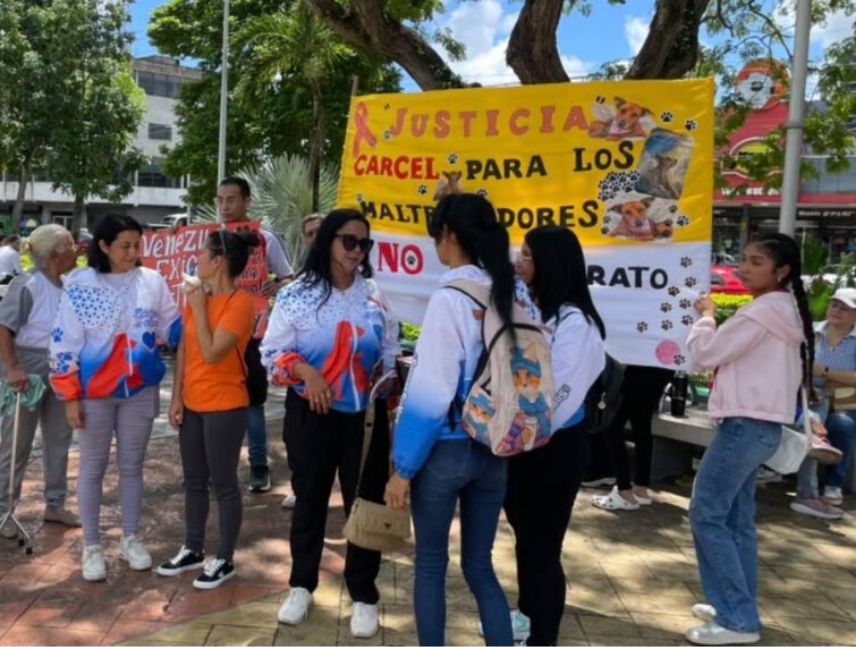Denuncian el envenenamiento de más de 100 animales en Monagas