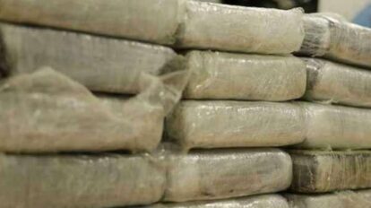 GNB incauta 430 kg de drogas en Mérida