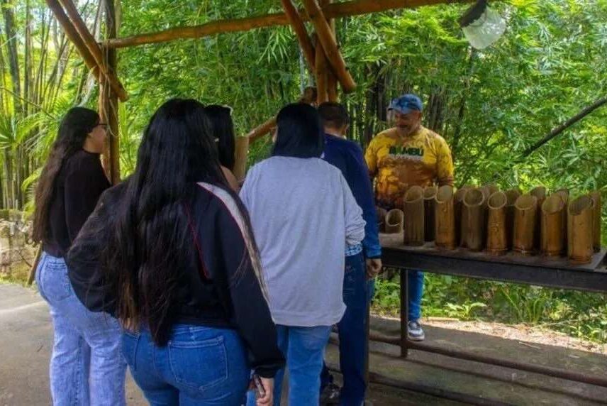 Mincyt evalúa uso del bambú para viviendas sostenibles