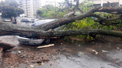 árboles caídos, anegaciones y fallas eléctricas deja aguacero en Caracas