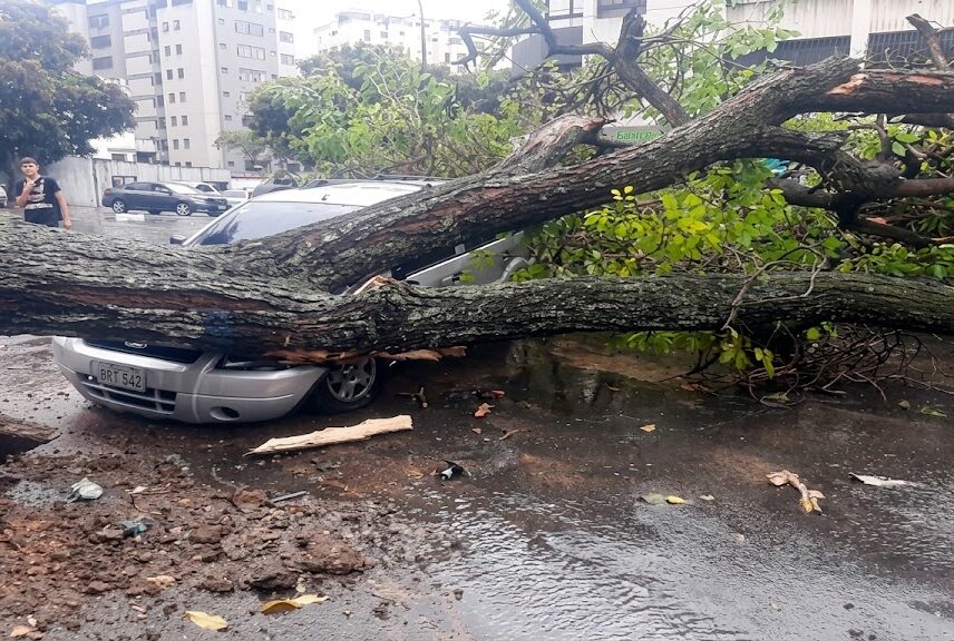 árboles caídos, anegaciones y fallas eléctricas deja aguacero en Caracas