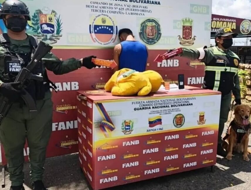 Fanb detiene a sujeto con marihuana oculta en oso de peluche