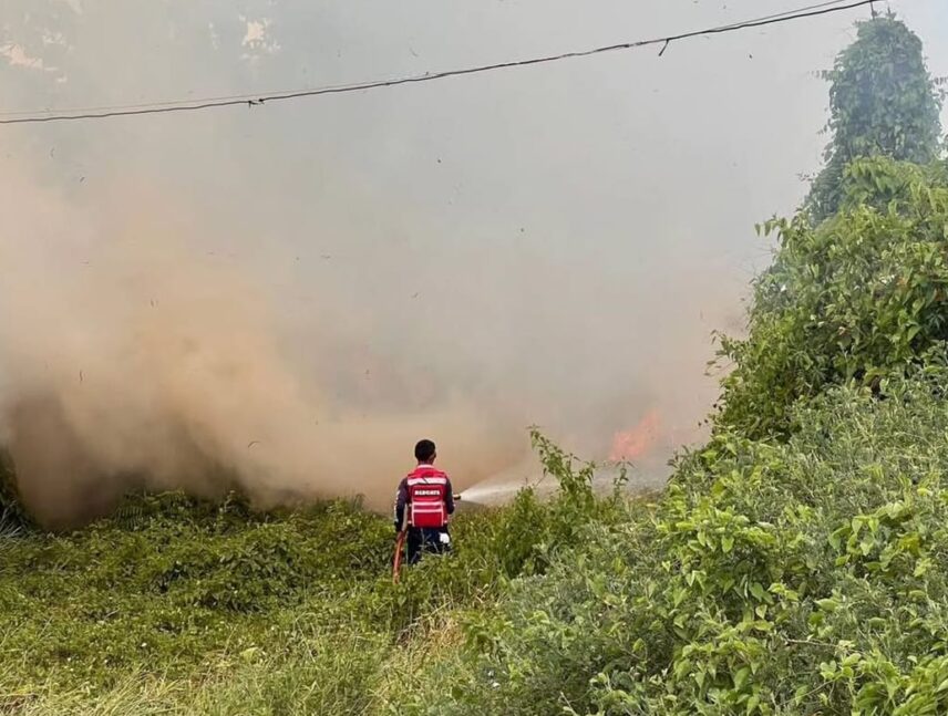 Extinguen incendio en vegetación del sector La Carioca en Roscio