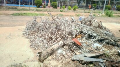 Habitantes de Caura II exigen plan de asfaltado en la calle Chudún