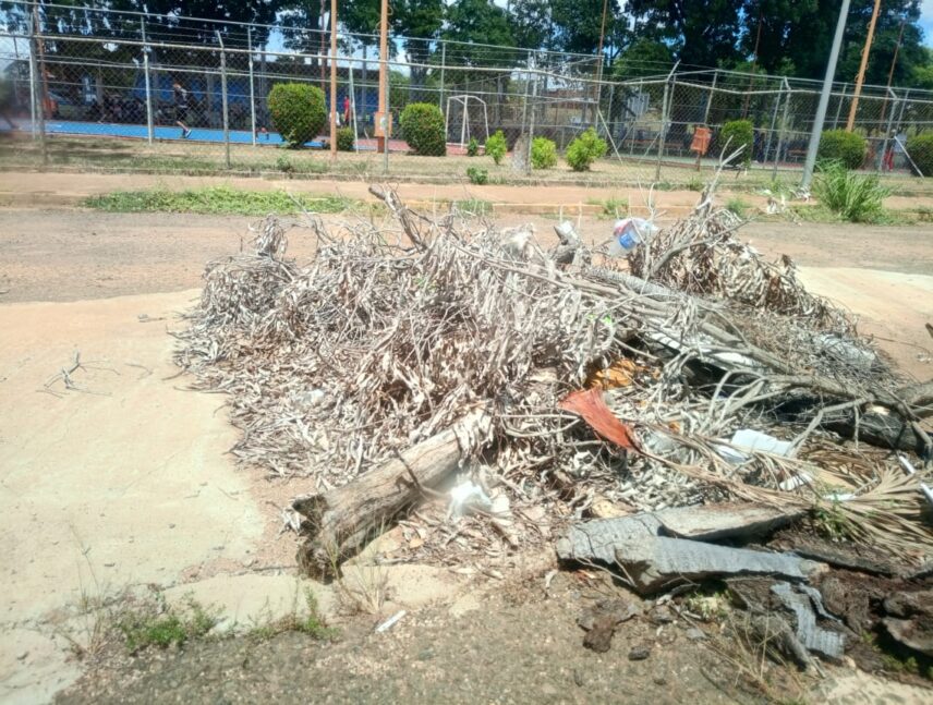 Habitantes de Caura II exigen plan de asfaltado en la calle Chudún