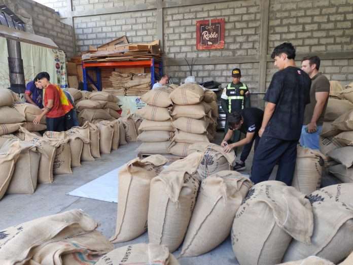 Comienzan exportación de café hacia Australia.