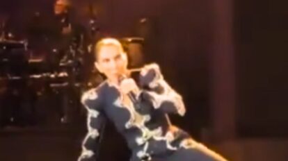 Céline Dion durante sufre caída presentación en concierto en París