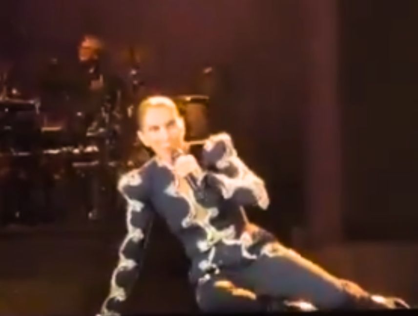 Céline Dion durante sufre caída presentación en concierto en París